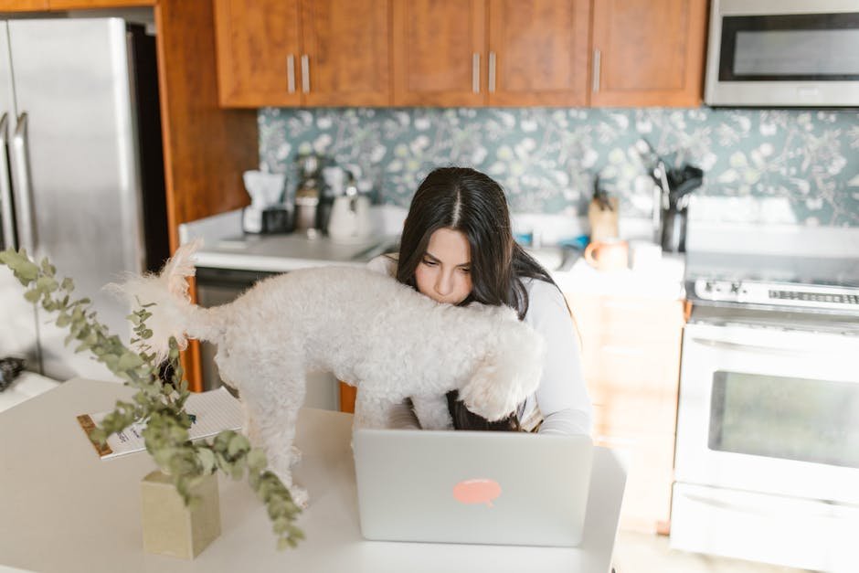 Remote Work Tips 2026: Optimize Productivity & Well-being