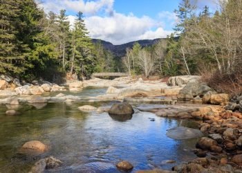 Remote Work Tips 2026: Master Productivity & Well-being