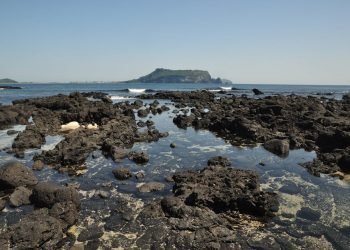 Jeju Island Welcomes Digital Nomads