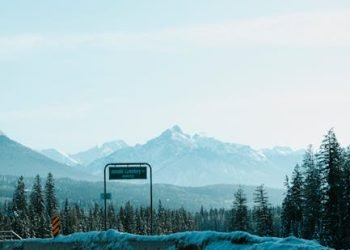 Remote Jobs: Travel & Earn in 2025 (Forbes)