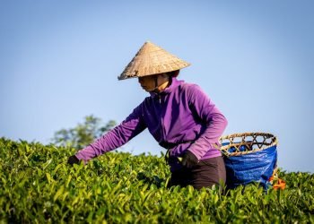 Remote Work Bubble Bursts: Investor Warning
Remote Work Boom Ends: Investors React
Remote Jobs Decline: Investor Concerns Rise
Remote Work Crash: Investors Take Note
Remote Jobs Plunge: Investor Alert