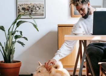 Remote Jobs Paying Well: Top 3 Industries