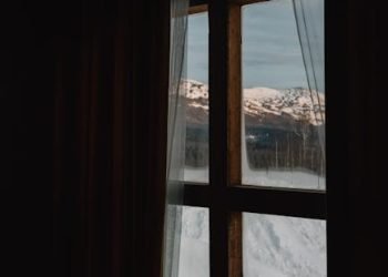 Remote Work Not to Blame: Management Fails