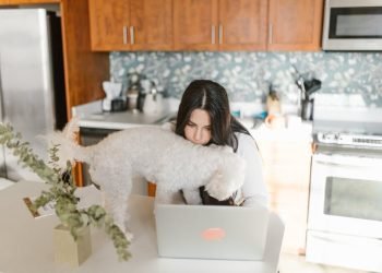 Remote Work Tips 2026: Optimize Productivity & Well-being
